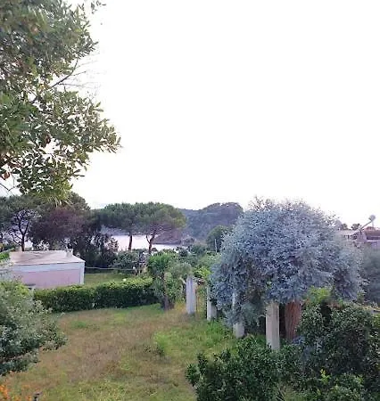 Lejlighed Il Carrubo - Solchiaro Garden Sea Procida