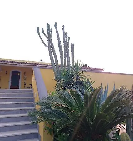 Il Carrubo - Solchiaro Garden Sea * Procida