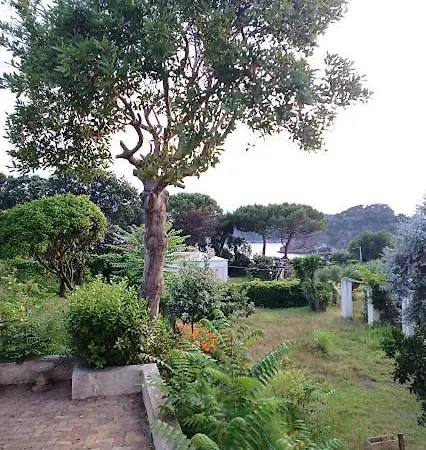 Il Carrubo - Solchiaro Garden Sea Lejlighed Procida