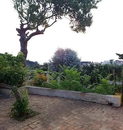 Il Carrubo - Solchiaro Garden Sea Procida